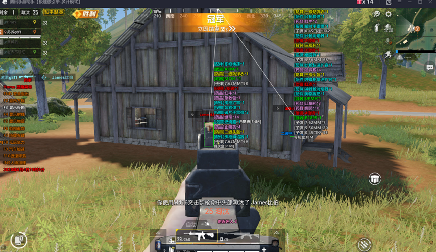 和平精英《敖光》辅助